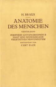 Anatomie des Menschen. Ein Lehrbuch für Studierende und Ärzte - Band 4