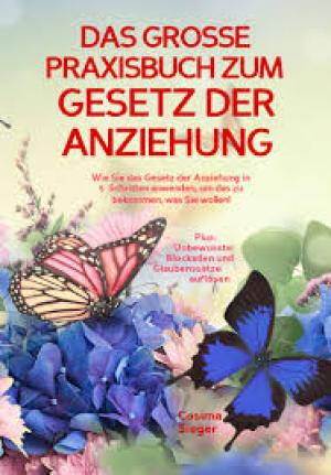 Das grosse Praxisbuch zum Gesetz der Anziehung